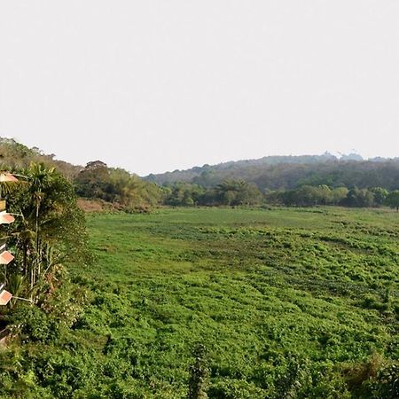 Jungle Palace Homestay Thekkady Ngoại thất bức ảnh
