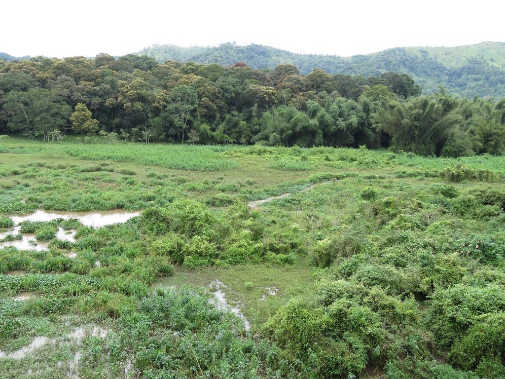 Jungle Palace Homestay Thekkady Ngoại thất bức ảnh