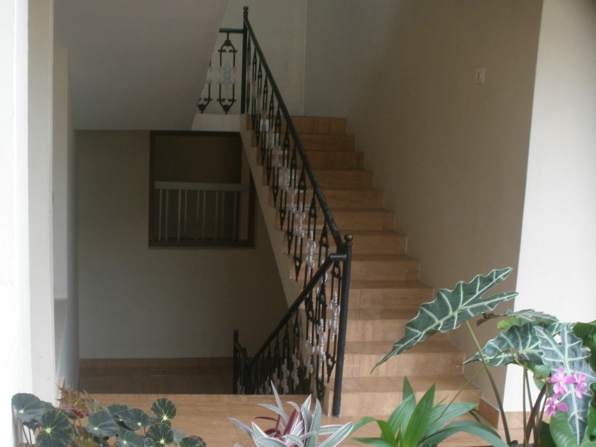 Jungle Palace Homestay Thekkady Ngoại thất bức ảnh